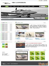 未來(lái)之翼 無(wú)人機(jī)網(wǎng)站頁(yè)面設(shè)計(jì)與開(kāi)發(fā)征集方案
