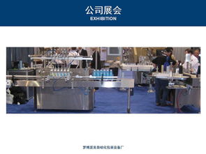 汕尾陸豐拉伸膜纏膜機(jī)說(shuō)明書 高效包裝新選擇